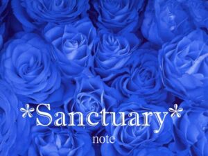 「あくまで」と「あくまでも」はどう違う?意味・使い方をクイズでわかりやすく解説!|40歳からのライフワーク研究室